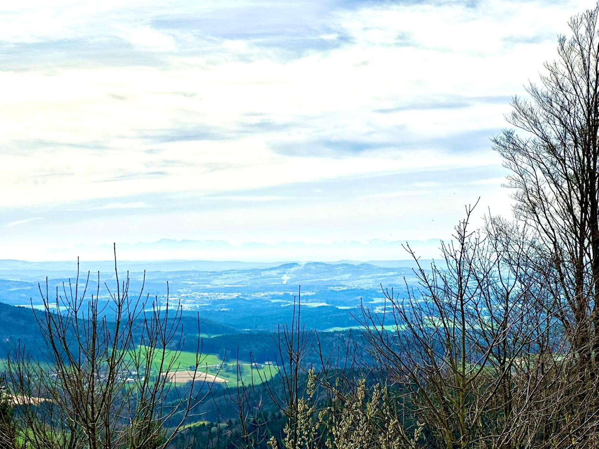 Gemuetliches Alpenblick Berg-Bungalow + Grosser Garten + Netflix! Schöfweg Exterior foto