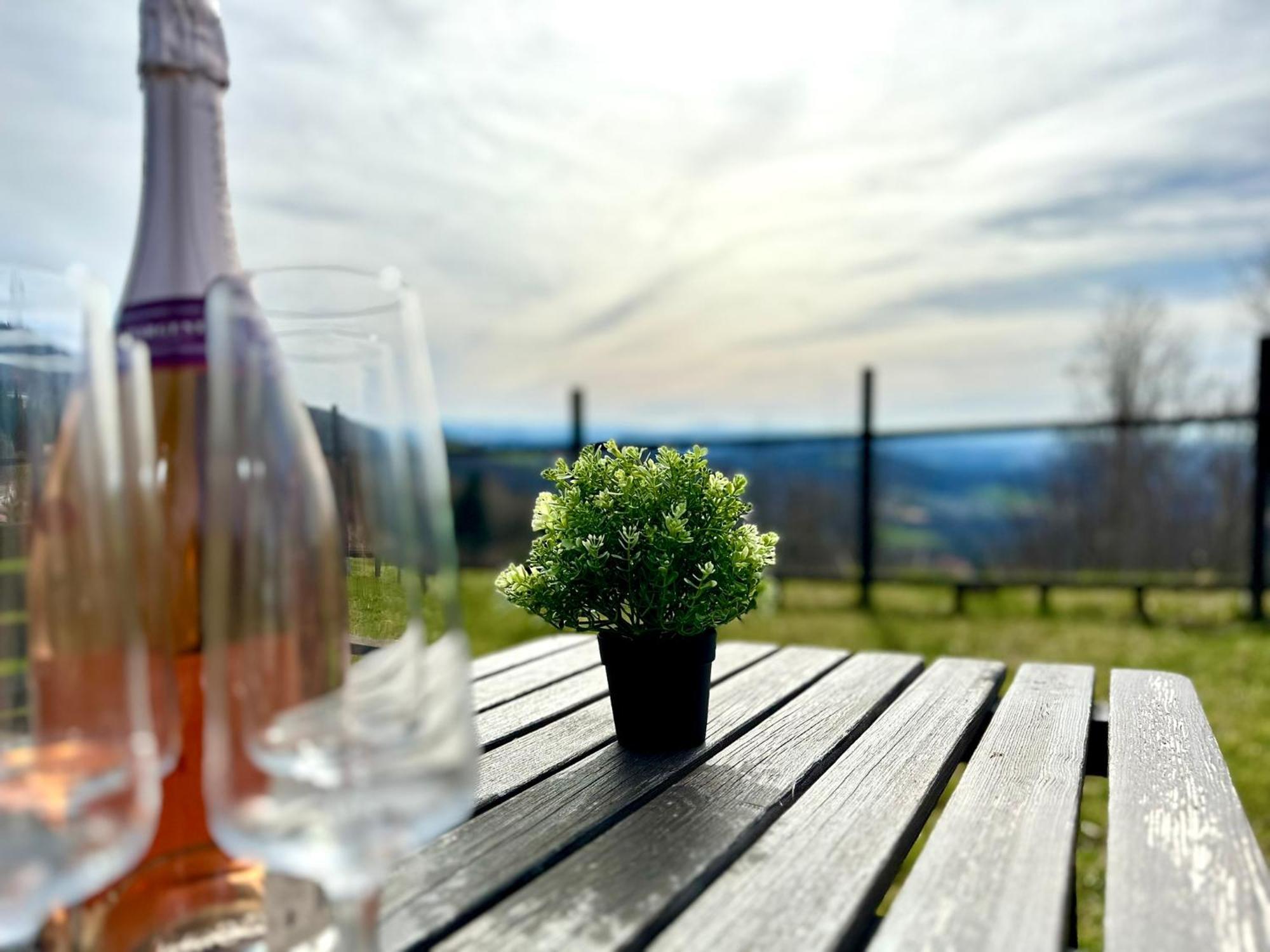 Gemuetliches Alpenblick Berg-Bungalow + Grosser Garten + Netflix! Schöfweg Exterior foto