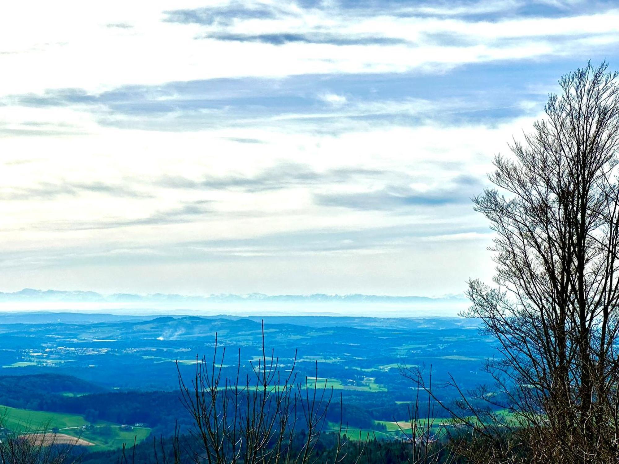 Gemuetliches Alpenblick Berg-Bungalow + Grosser Garten + Netflix! Schöfweg Exterior foto